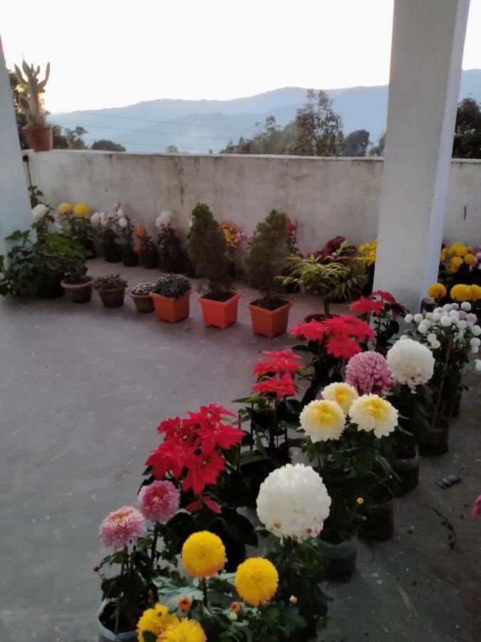 Ajit Homestay, Darjeeling Νταρτζίλινγκ Εξωτερικό φωτογραφία